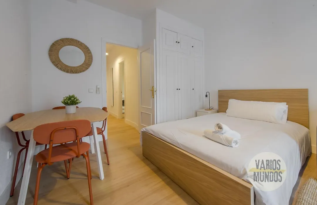 Comodo y centrico Loft en calle Carretas - Madrid Centro-1