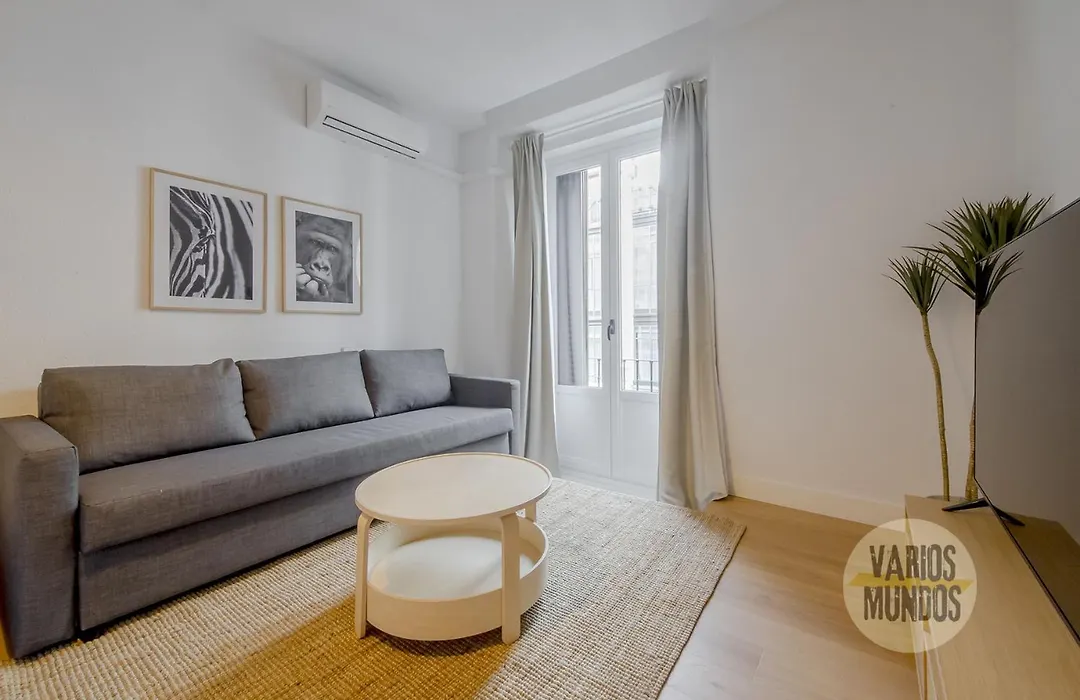 Comodo y centrico Loft en calle Carretas - Madrid Centro-1